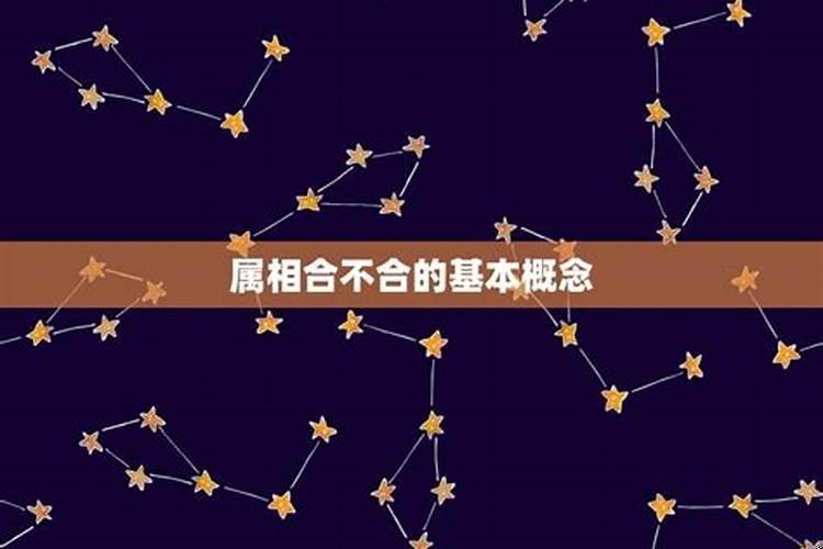 兔女与蛇男相配婚姻幸福吗