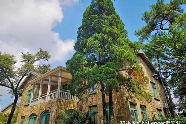 老年人看见不该看的东西