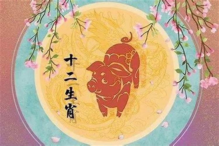 83属猪的佩戴什么最旺财