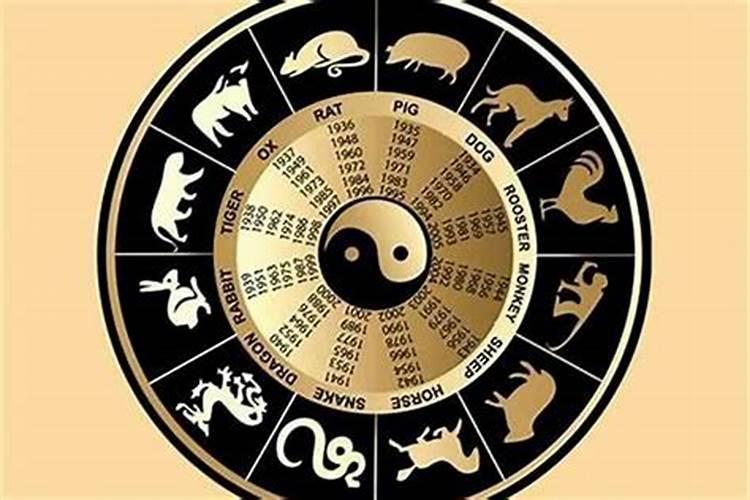 什么生肖相冲和相合