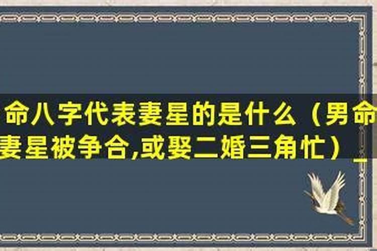 男人八字里没有财星