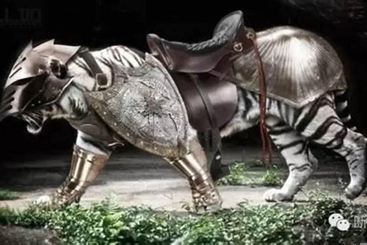 十二生肖谁的战斗力最强