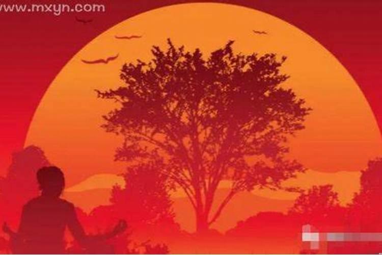 梦见已故的同学一起吃饭