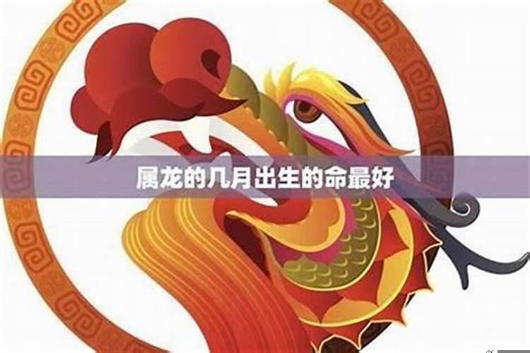 属龙的农历几月结婚好