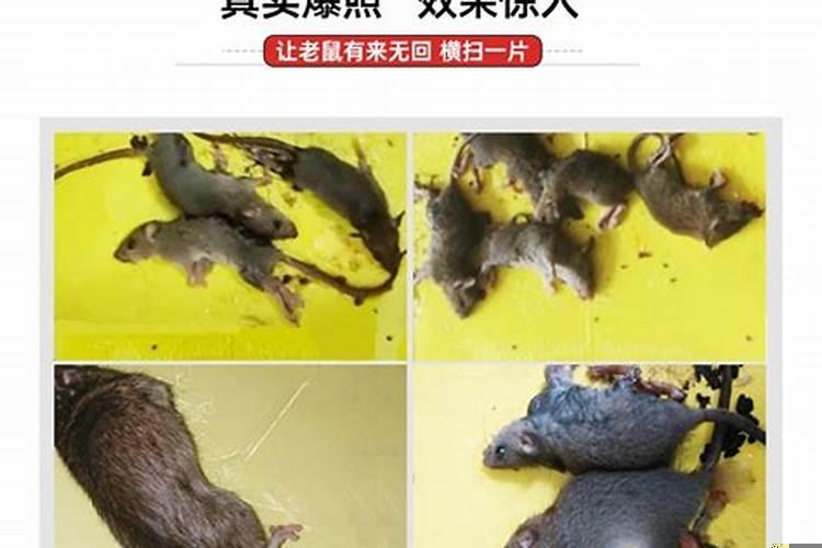 古今贤文全篇完整版