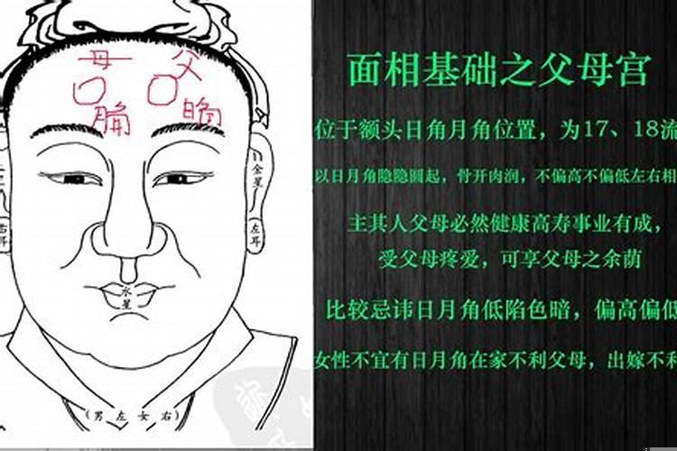 父母对宫是哪个宫
