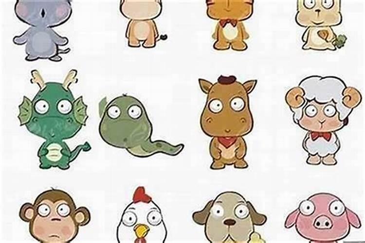 属鸡的爸属羊的妈生啥宝宝好