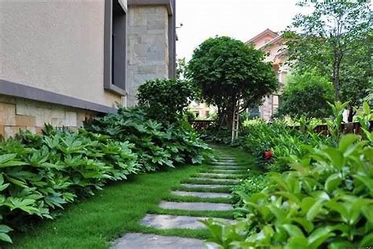 别墅花园栽什么树好