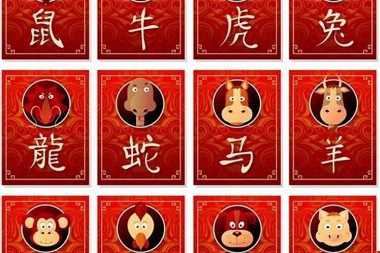 十二生肖的相合与相害