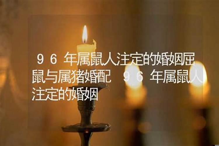 95年属猪姻缘在哪年