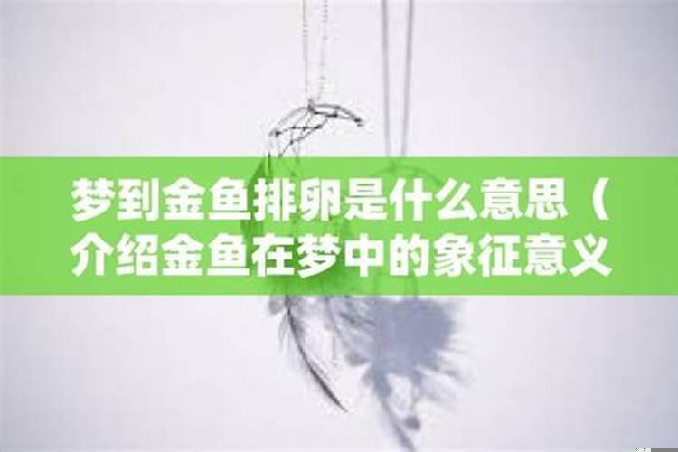 梦见金鱼的象征意义