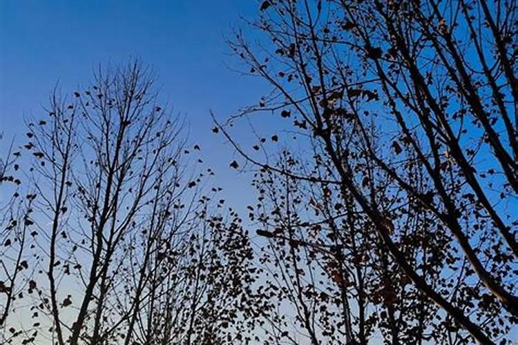 本命年过年能过夫妻生活吗