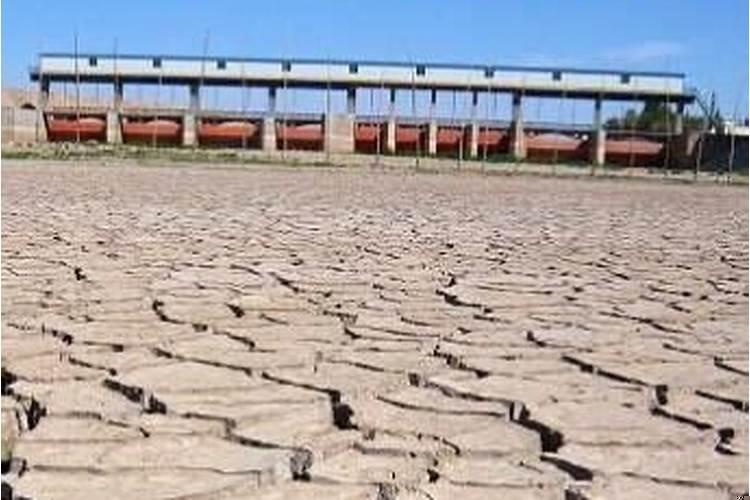 梦见大海的水干了