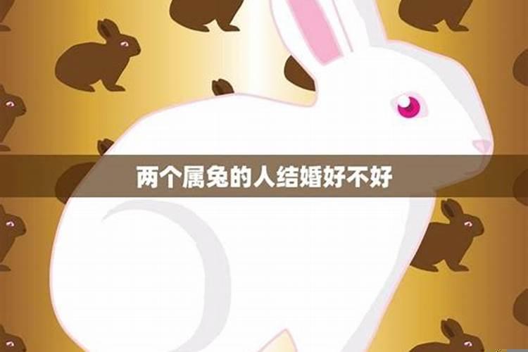 属兔的人跟属兔的在一起合适吗