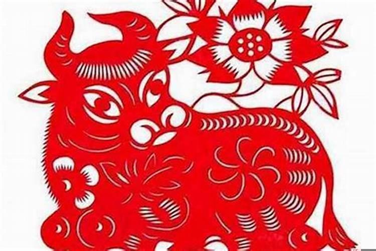 属牛的啥时候结婚好