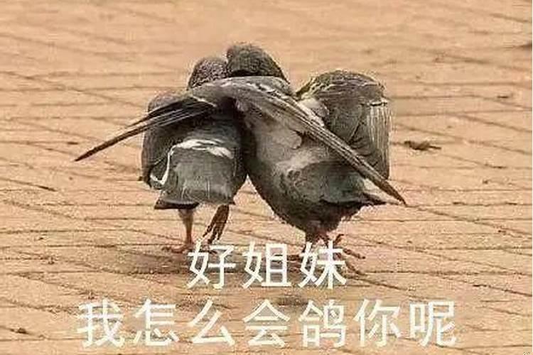 1974年11月16日是什么星座