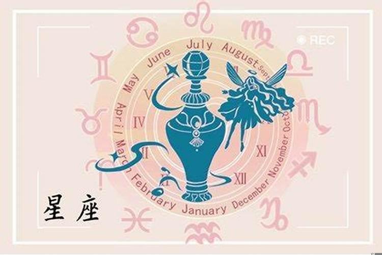 2025年水瓶座年运势