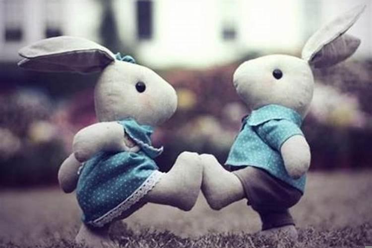 属兔的人跟属兔的在一起合适吗