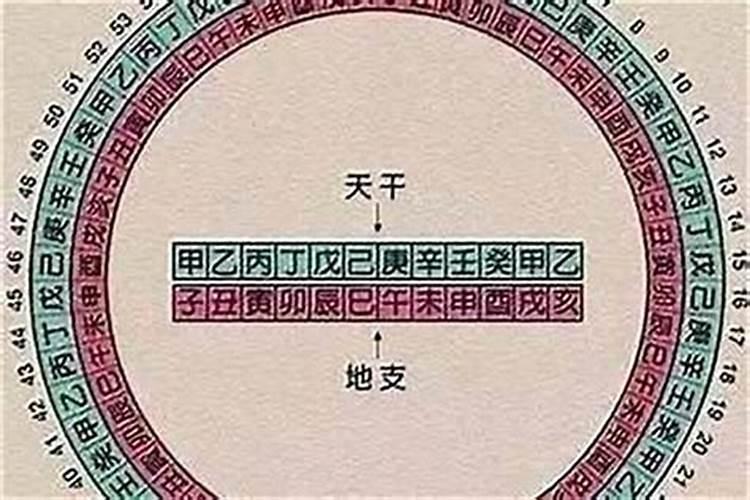 请问如何看八字主星和辅星