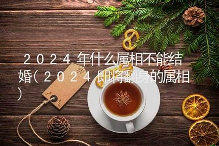 2021年结婚忌啥属相