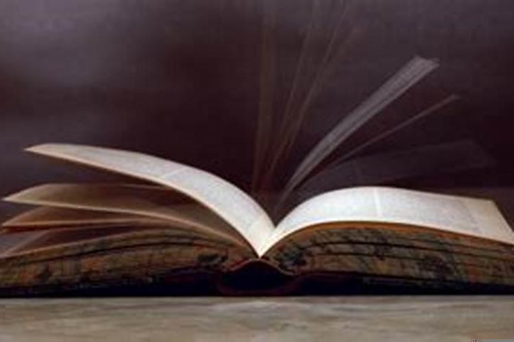 八字硬的意思是代表什么