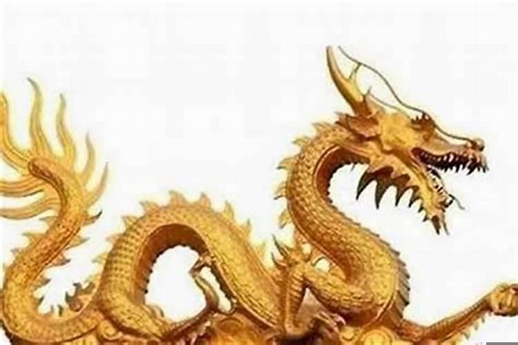 属虎又属龙的人性格