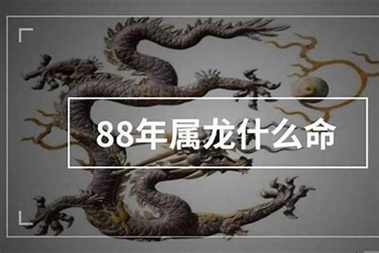 88年属龙的本命年是哪几年