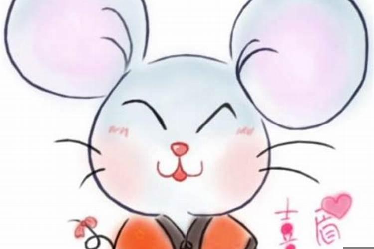 属鸡跟鼠合得来吗