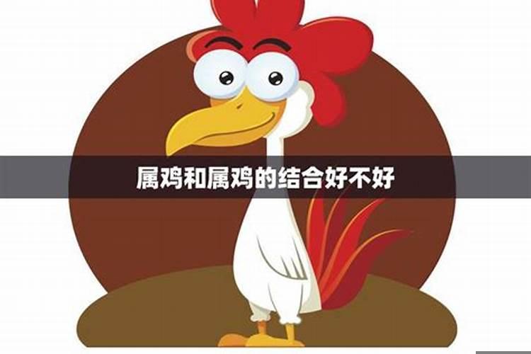 属鸡的和属猪的相配结果会怎么样