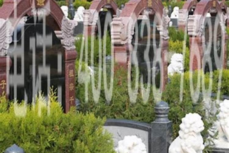 如何看阴阳宅风水