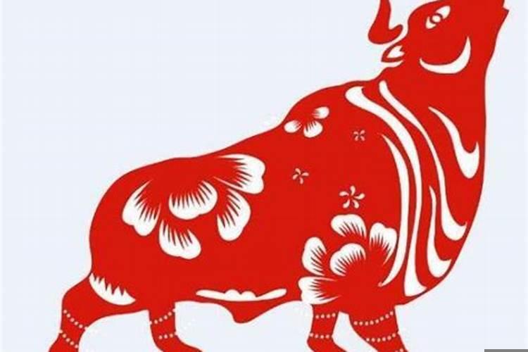 父母属牛生什么属相孩子好