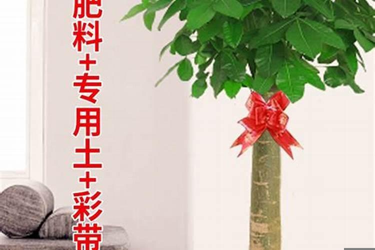 事业单位面试说不出来表现不好