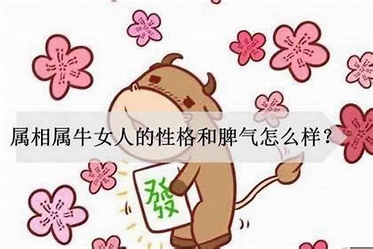 兔和兔婚配好吗?