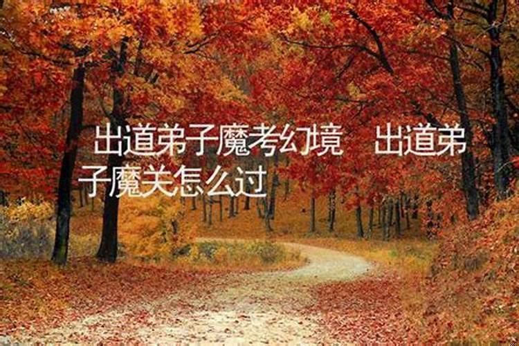 出道弟子看风水