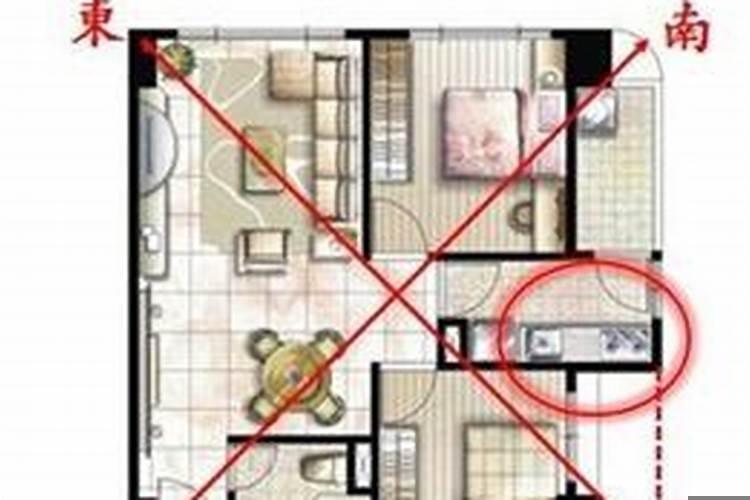 属虎的人住房什么方位好吉利