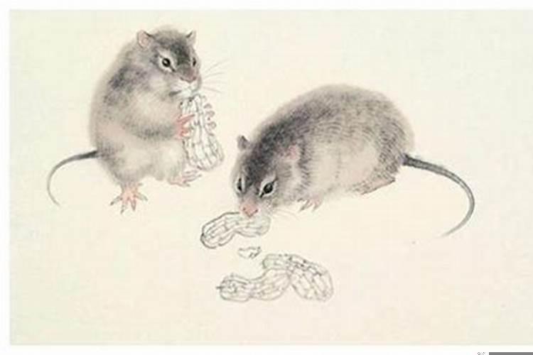 平和的意思是什么意思