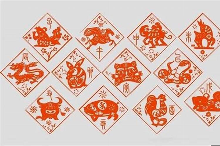 晚年过得最好的生肖有哪些动物