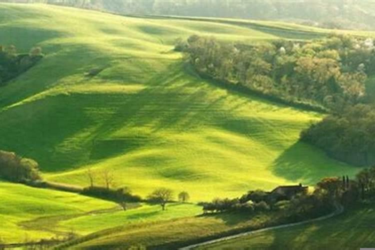 男属猪女狗婚姻相配好吗