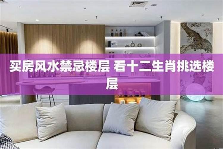 楼层与属相相克最好的化解方法