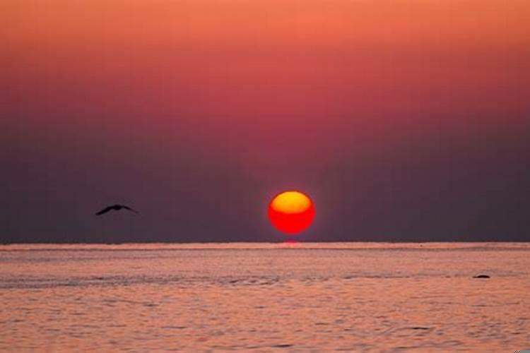 阎王日是什么时候