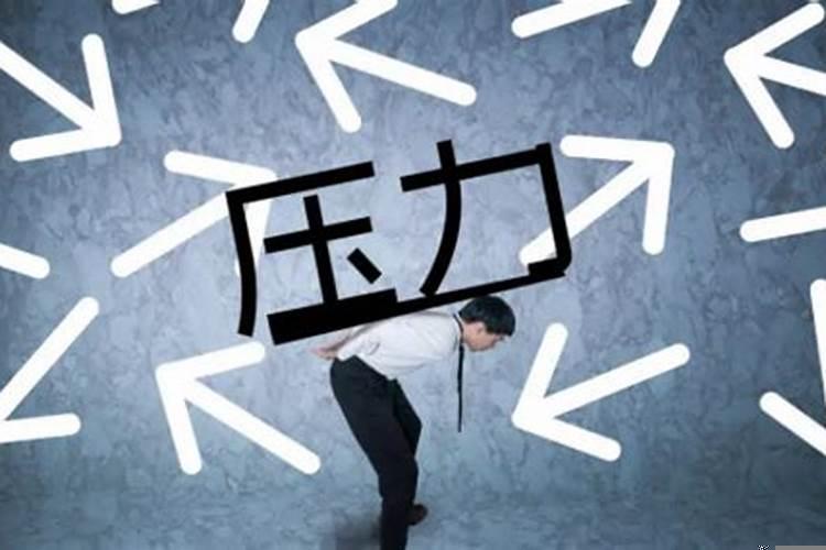 1975年十一月出生的兔