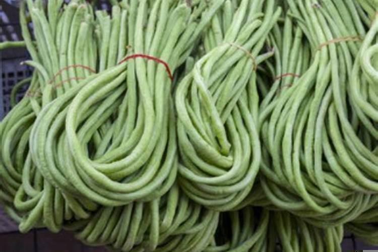 梦见豆角是什么意思啊