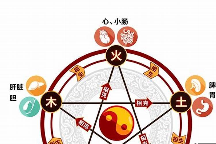五行属性和五脏的关系表