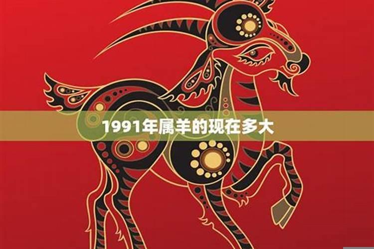 1991属羊人命运