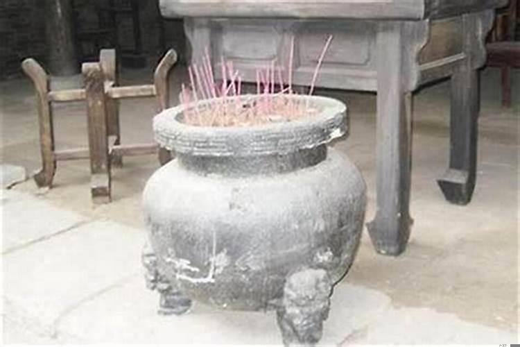 太岁喜欢什么环境中