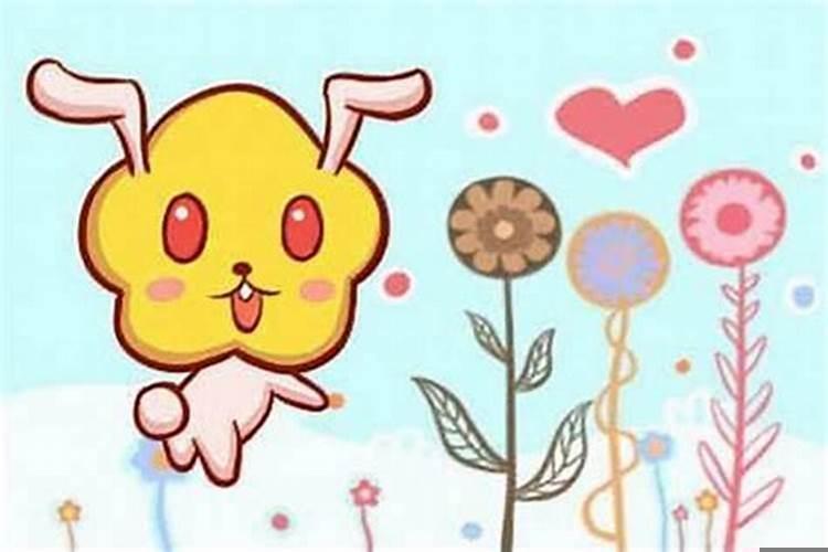 兔和兔婚配好吗?