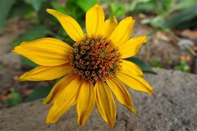 如何防止别人抢走你的好运