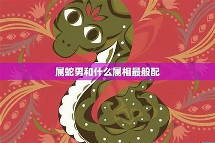 属蛇男人喜欢什么类型的女人?