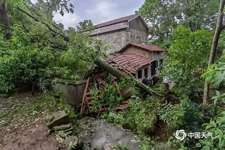 梦到自己的房子被风吹倒