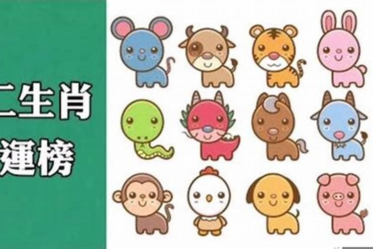 哪个生肖最有横财运命